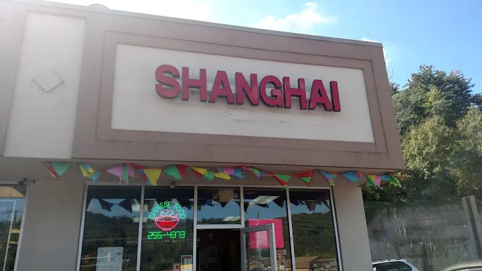 Shanghai Chinese Restaurant 5