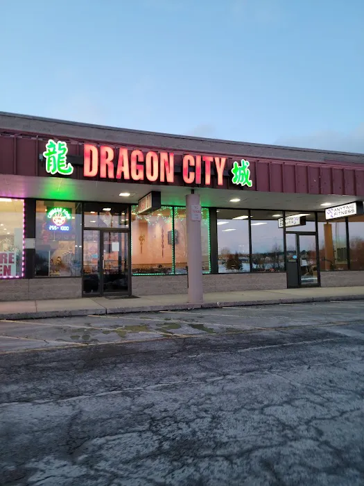 Dragon City 8