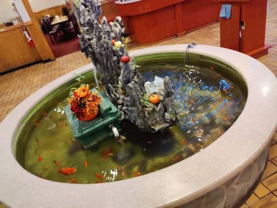 Albany Buffet 0