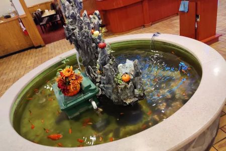 Albany Buffet