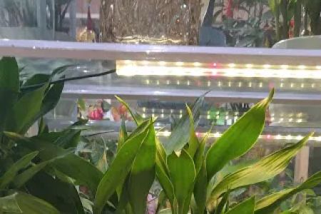 6321 Yuan Bao Gourmet