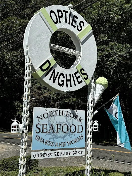Opties and Dinghies 3