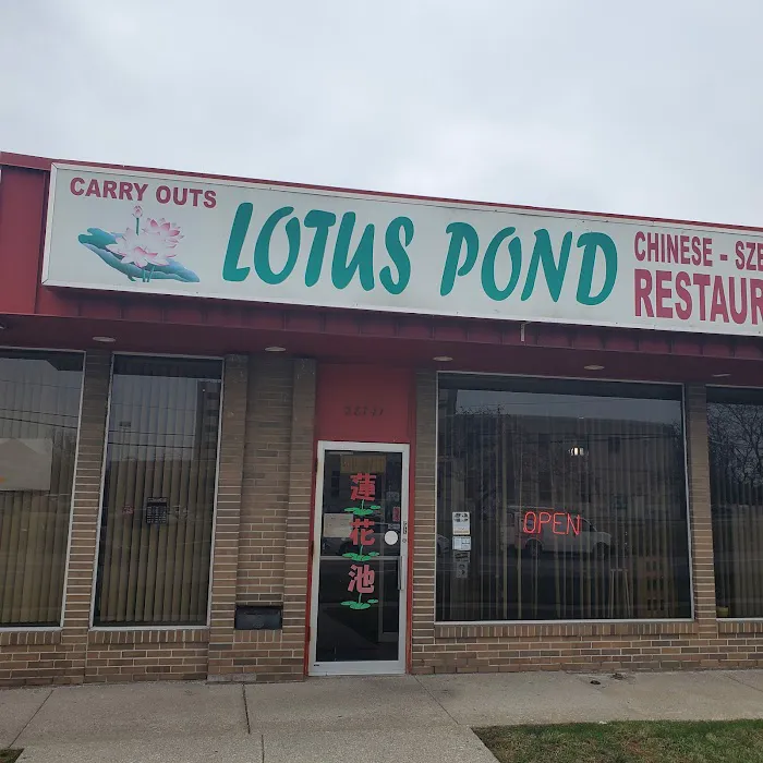 Lotus Pond 9