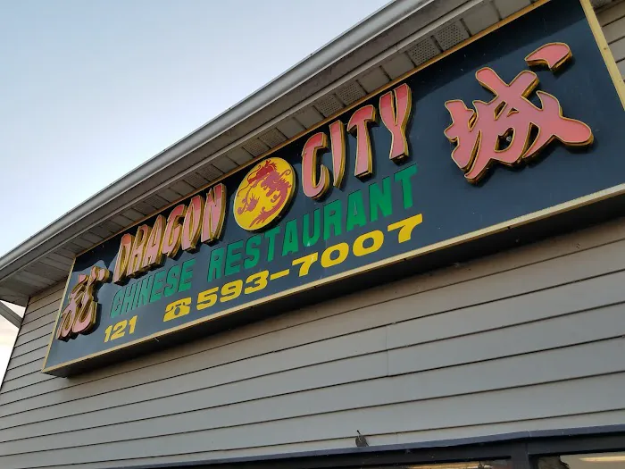 Dragon City 8