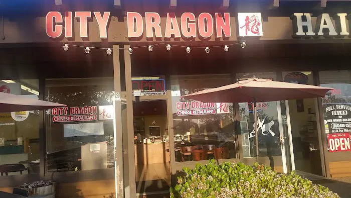 City Dragon Chinese Food 2