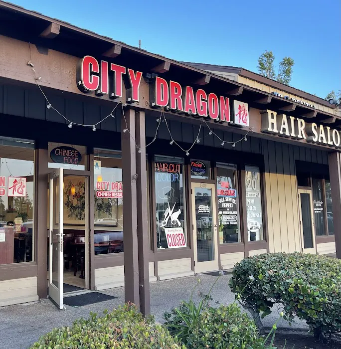 City Dragon Chinese Food 7