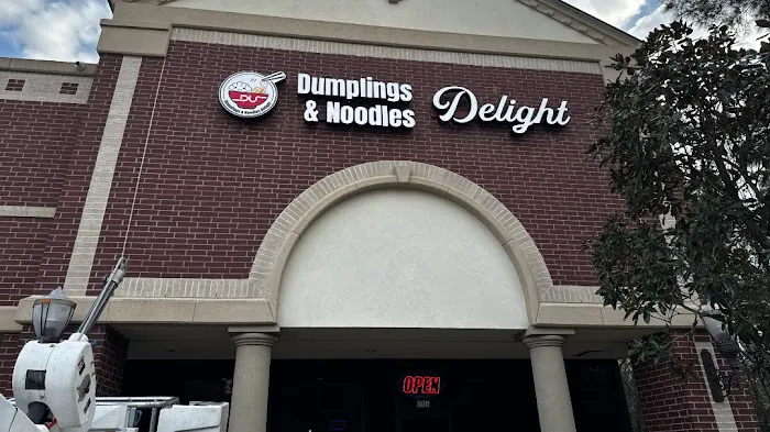 Dumplings & Noodles Delight 1