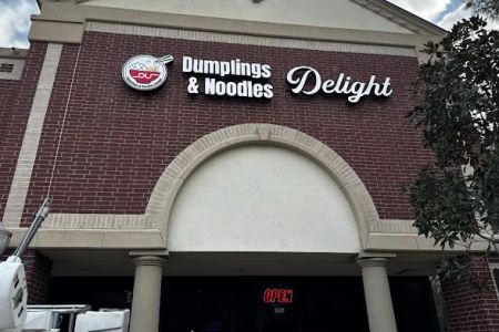 Dumplings & Noodles Delight