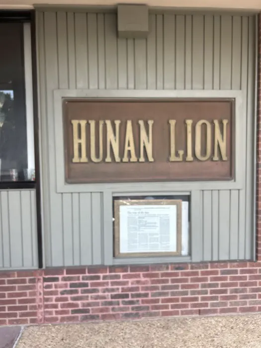 Hunan Lion 9