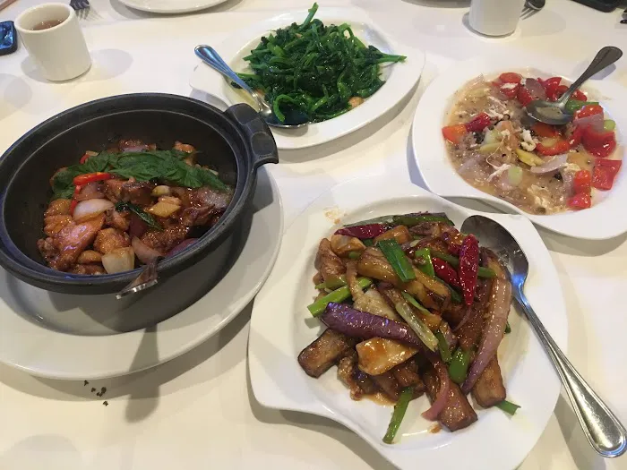 Tai Pan 5