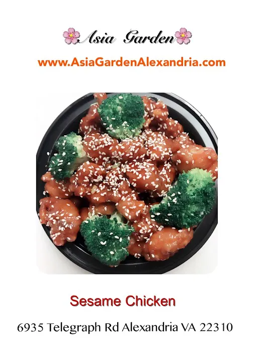 Asia Garden 3