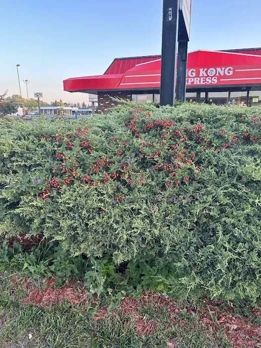HONG KONG EXPRESS 7