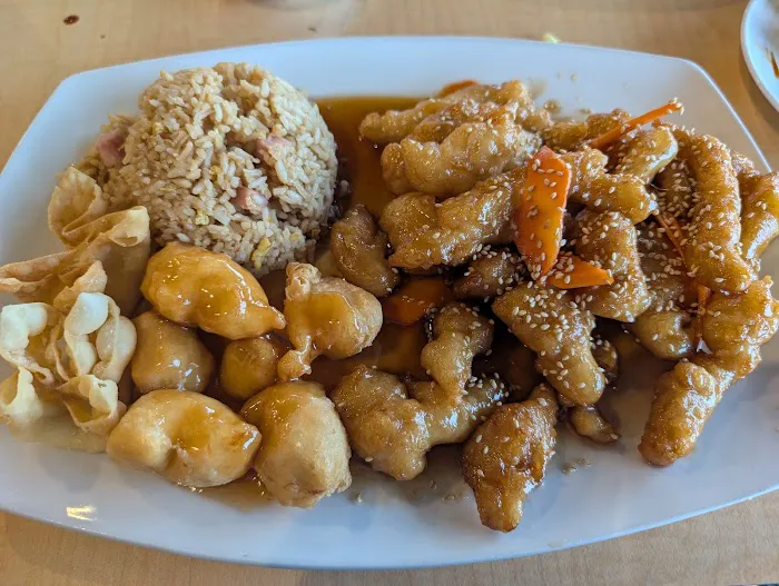Blossom Chinese & American Restaurant 2