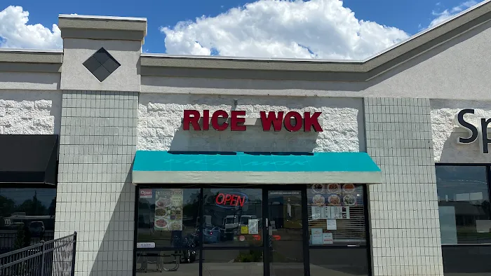 Rice Wok 10