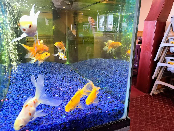 Coco China Buffet 8