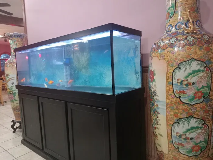 Golden China Chinese Restaurant 3