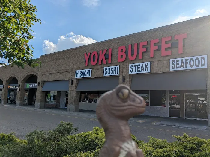 Yoki Buffet 7