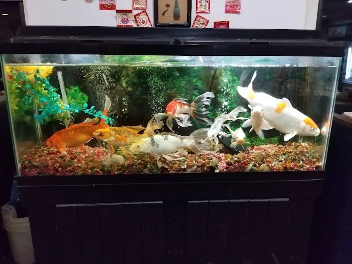 Moo's Place 9
