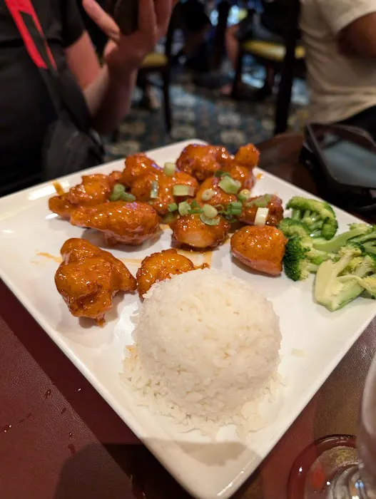 Nine Dragons Restaurant 6