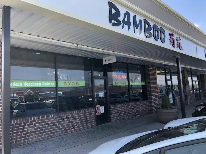 Bamboo 2