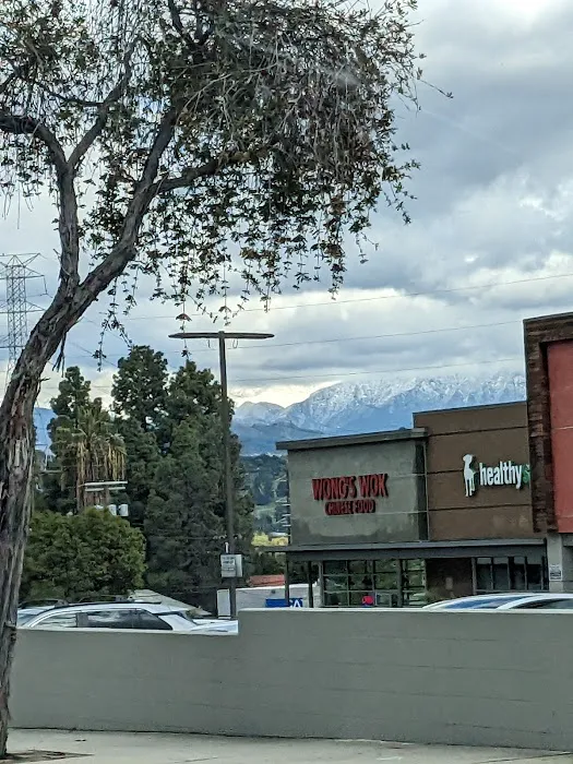 Wong's Wok Silver Lake 8