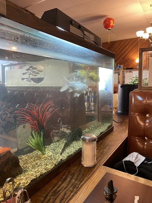 Golden Palace Restaurant 3