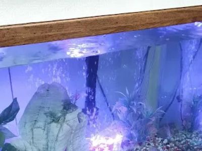 No. 1 House 0