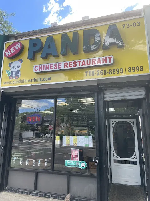 New Panda 6
