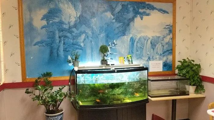 China Star Restaurant 2
