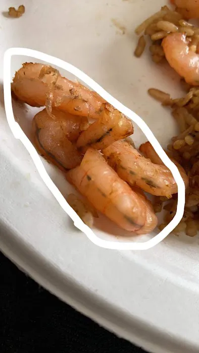 Mr. Orange Chicken 6