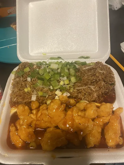 Mr. Orange Chicken 2