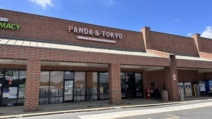 Panda And Tokyo 1