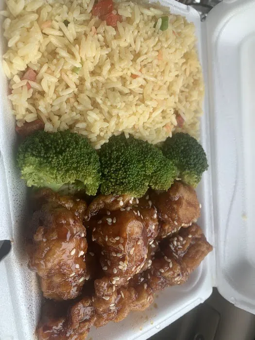 Panda And Tokyo 7