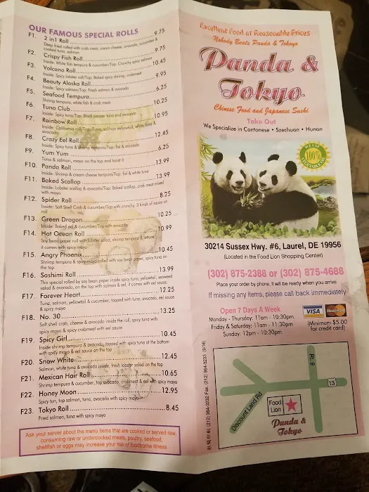 Panda And Tokyo 4