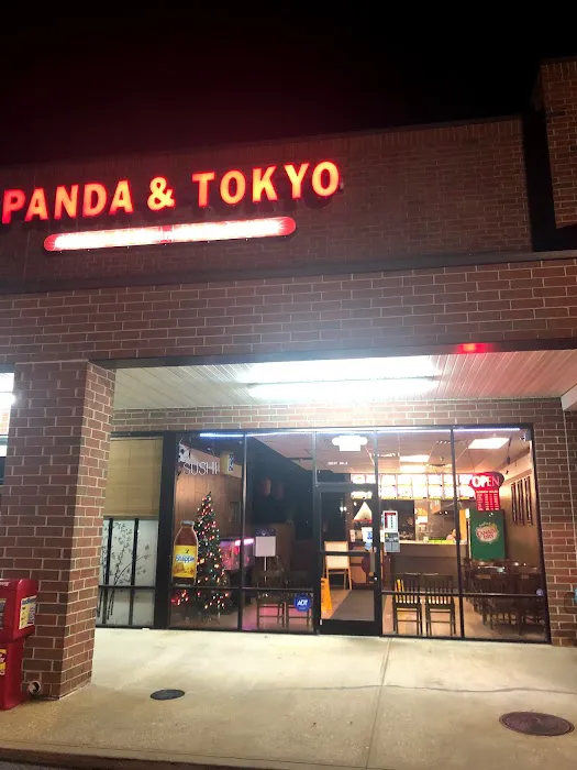 Panda And Tokyo 10