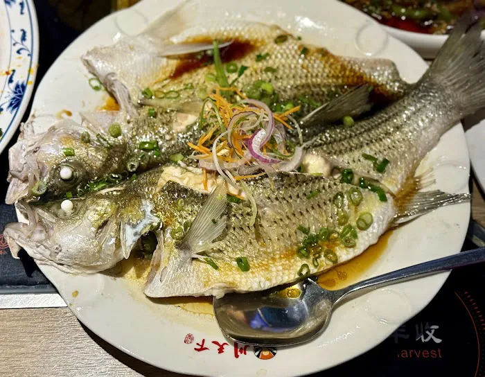 Good Harvest (Chuan Tian Xia) 3