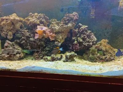 Panda Garden Restaurant 0