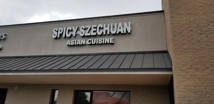 Spicy Szechuan 1