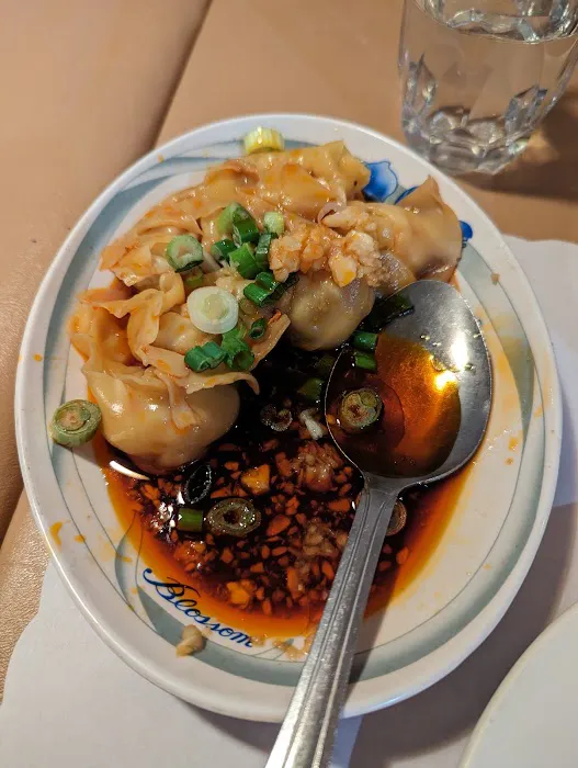 Da Sichuan Bistro 6