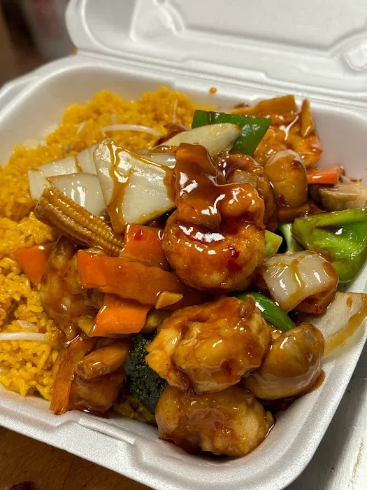 Halal Fusion 2 Chelten avenue 1