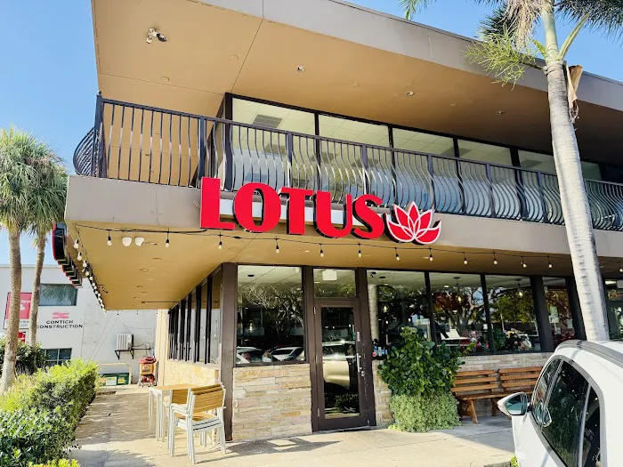 Lotus Chinese Kitchen 2