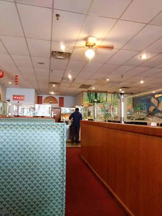 China Chef Restaurant 7