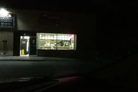 Panda Chinese Food