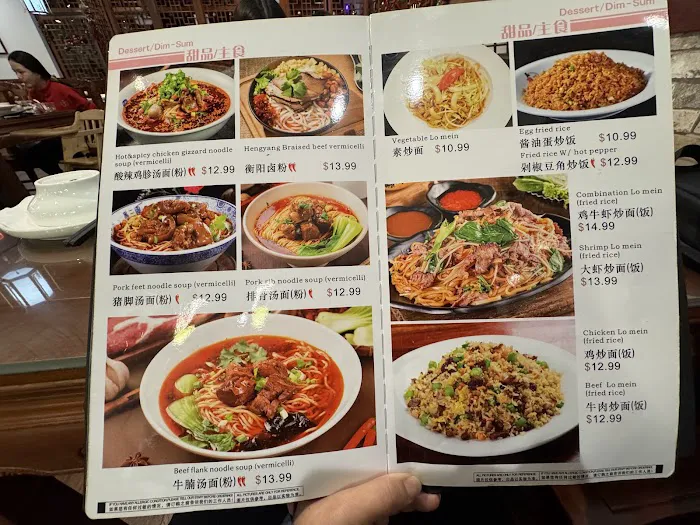 Hunan Chef 9