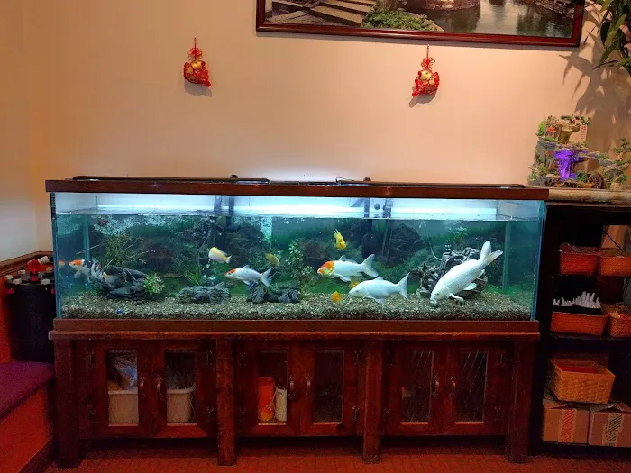 Great Wall Chinese Restaurant 4