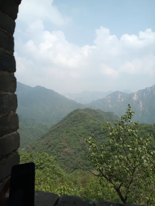 Great Wall Chinese Restaurant 9