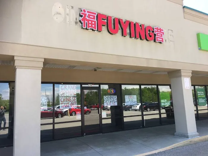 Fu Ying 10