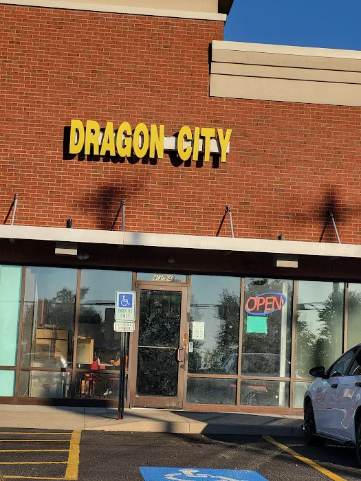 Dragon City 10
