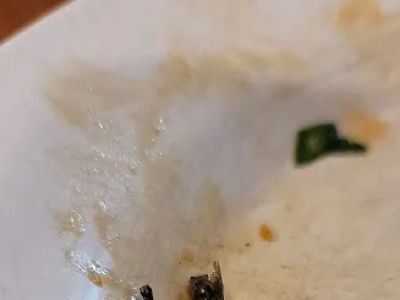 Panda Chinese Restaurant 0