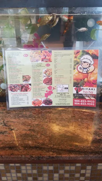 Teriyaki Ha Ha 8